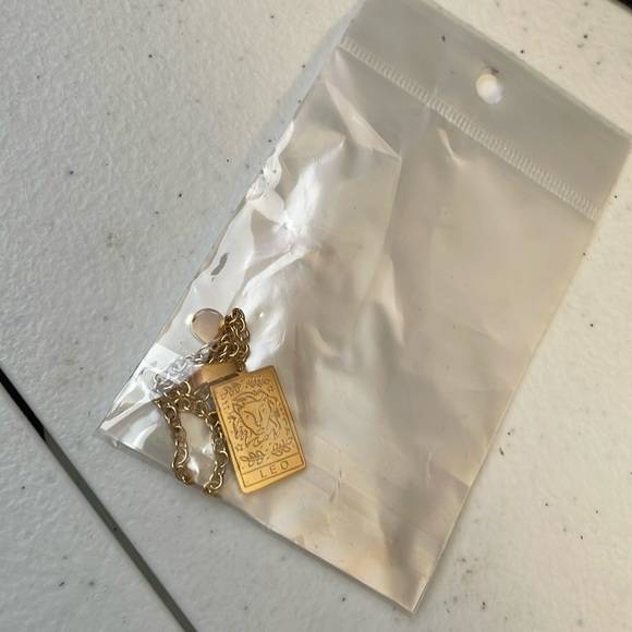 Leo Zodiac Sign Pendant Necklace - Picture 3 of 7